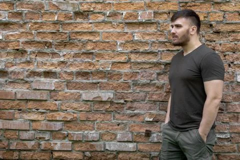 Bearded man on a background of a brick wall. Stock Photos