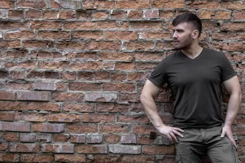 Bearded man on a background of a brick wall. Stock Photos