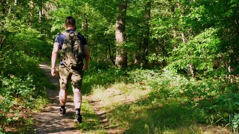 The bearded man with a backpack is going  through the forest outdoor Stock Footage 90592931