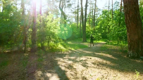 A bearded man with a backpack walks through the forest with  trees. Stock Footage 90593147
