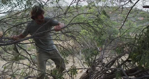 Bearded man clears branches with axe to build camp shelter Video stock 335513077
