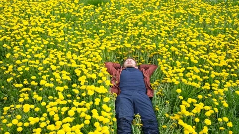 Bearded man in field of yellow dandelions lies resting Stock Footage 131615577