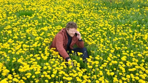 Bearded man in field of yellow dandelions talking on the phone Stock Footage 131618342
