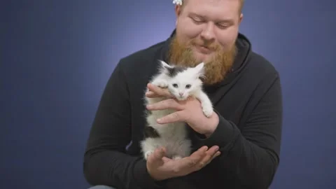 Bearded man holds a small kitten in his arms and smiles Stock-Footage 144600504