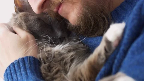 A bearded man lovingly hugs his cat, hugs him to himself. Favorite cat with his Video stock 171215386