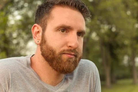 Bearded Man Stock Photos