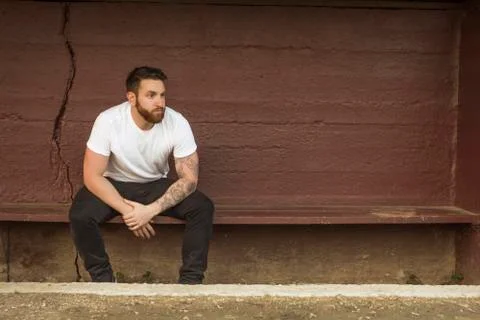 Bearded Man Stock Photos