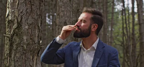 Bearded man in pine forest, smells pine resin 스톡 동영상 140267514
