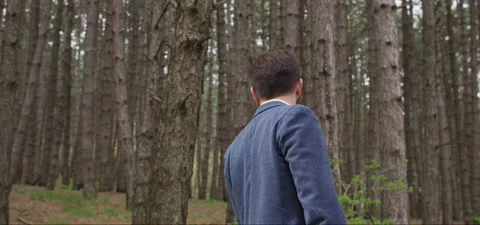 Bearded man in pine forest, walking and enjoying air Stock Footage 140265232