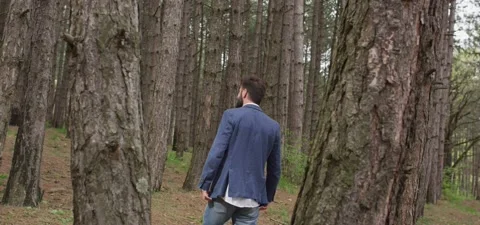 Bearded man in pine forest, walking and enjoying air Stock Footage 140265428