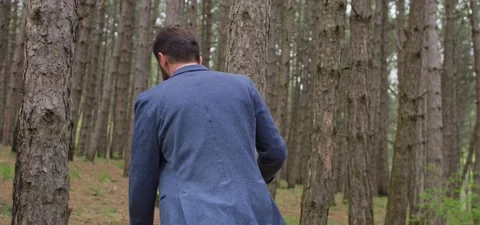 Bearded man in pine forest, walking and enjoying air Stock Footage 140266881