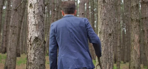 Bearded man in pine forest, walking and enjoying air Stock Footage 140267483