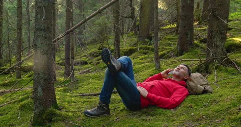 A bearded man rests and talks on the phone in theforest Stock Footage 158176599