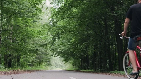 A bearded man rides a Bicycle through a forest Park Stock Footage 117588858