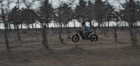 Bearded man rides old cafe racer motorcycle between trees Stock Footage 140626534