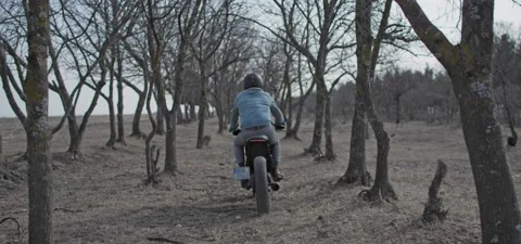 Bearded man rides old cafe racer motorcycle between trees Stock Footage 140654463