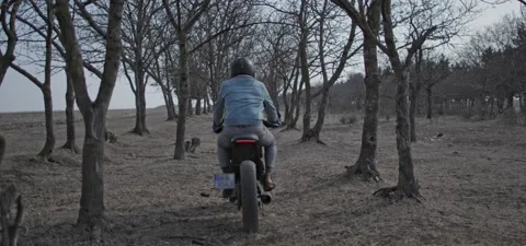 Bearded man rides old cafe racer motorcycle between trees Stock Footage 140654788
