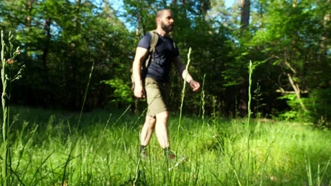 A bearded man in shorts and with a backpack walks through a forest glade. Stock Footage 90592979