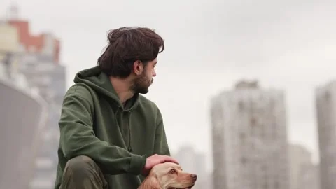 A bearded man sits on the grass and strokes a cocker spaniel. A young brunette Stock Footage 240926547