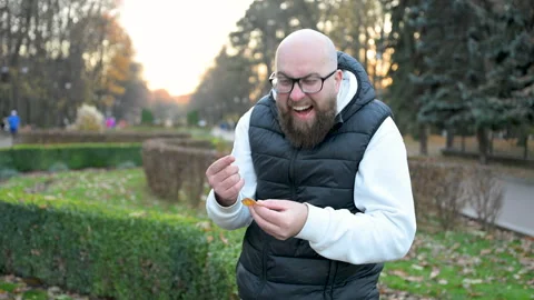 Bearded man smiling while admiring small leaves in tranquil autumn park Stock Footage 346551361