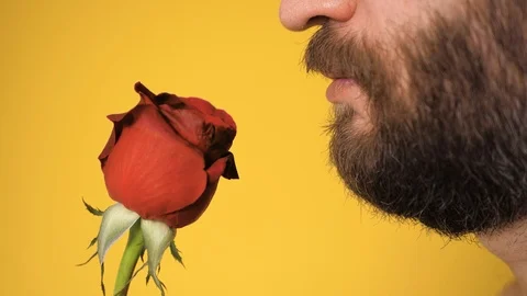 Bearded man sniffs beautiful red rose flower. Valentine Day, February 14, first Stockbeeldmateriaal 123950794