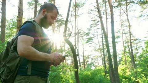 A bearded man stands in the forest and sends a message using his smartphone. Stock Footage 90593420