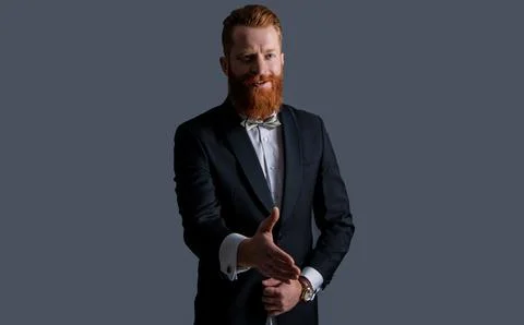 Bearded man in tuxedo gesturing hello with handshake. isolated on grey Stock Photos