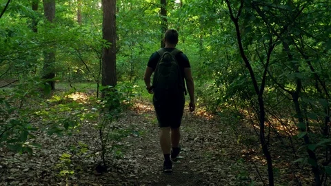 A bearded man walks through a dense forest and emerges into a forest glade. Stock Footage 90593821