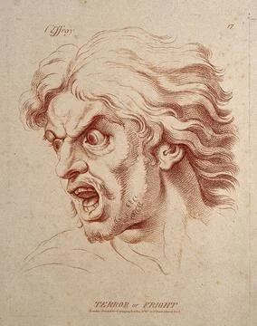 A bearded man whose face expresses horror. Crayon manner print by W. Hebert.. Stock Illustration