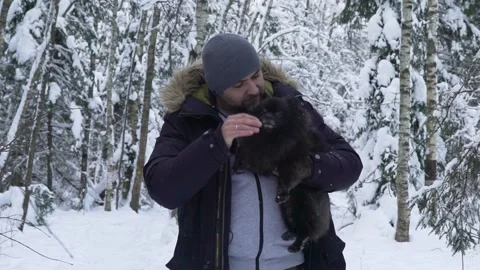 A bearded man in the winter forest walks with a dog, stroking. Happy dog Stock Footage 167949061