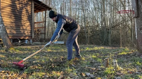 Bearded man in working gloves using red garden rake tool Vidéo 346034991