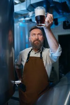 Bearded senior brewer checking beer quality during brewing technology process Stock Photos