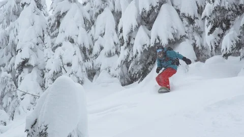 Bearded snowboarder riding between snowy trees down the mountain Stock Footage 116783050