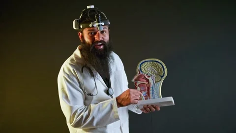 Bearded surgeon explain pharynx model at science institute Video stock 304493627