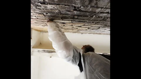 Bearded worker in protective suit washes moldy brick wall in building 스톡 동영상 323859787