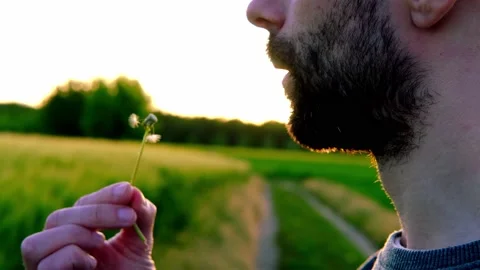 bearded young man in backlight of sun bl... | Stock Video | Pond5