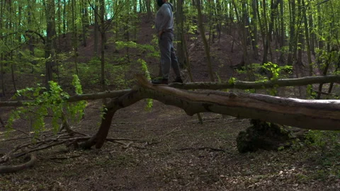 Bearded Young Man with Face Mask Balancing on Fallen Tree Stock-Footage 130762432