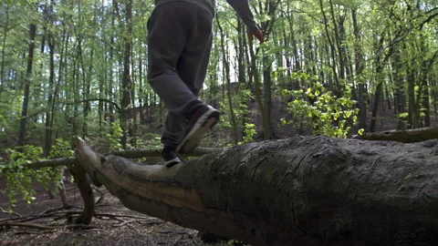 Bearded Young Man with Face Mask Balancing on Fallen Tree and Raising Arms in Stock Footage 130850078
