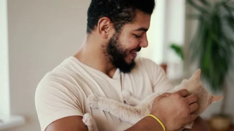 Bearded young man holds a peach color cat in his arms and caress him Stock Footage 236331645