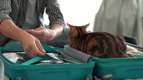Beardly man getting ready for travel, Stock Footage 171930842