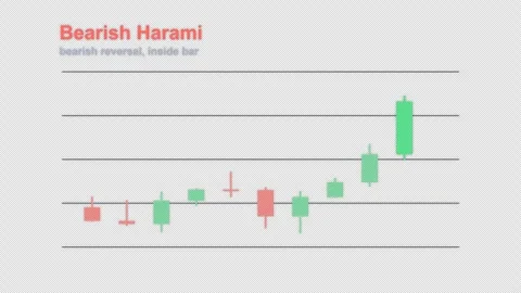 Bearish Harami Labeled Candlestick Pattern Chart Alpha 4K 動画素材 339402886