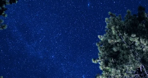 BearNight Complation A 스톡 동영상 115290064