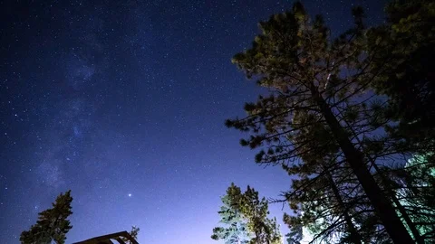 BearNights_Ronin1 스톡 동영상 115232577