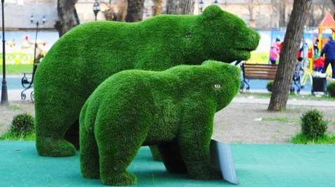 The Bears. Artificial turf. Stock Photos