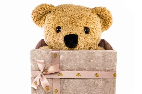 Bears doll on white background Foto stock