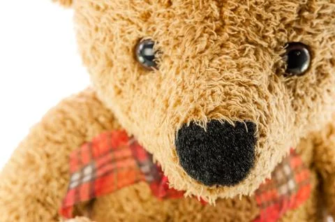 Bears doll on white background Stock Photos