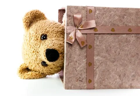 Bears doll on white background Stock Photos
