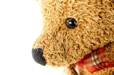 Bears doll on white background Stock Photos
