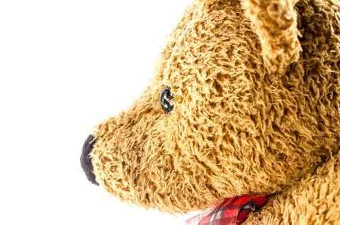 Bears doll on white background Stock Photos