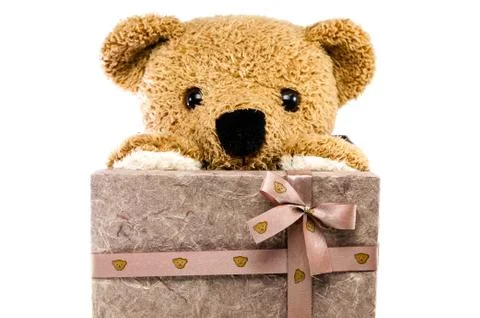 Bears doll on white background Stock Photos